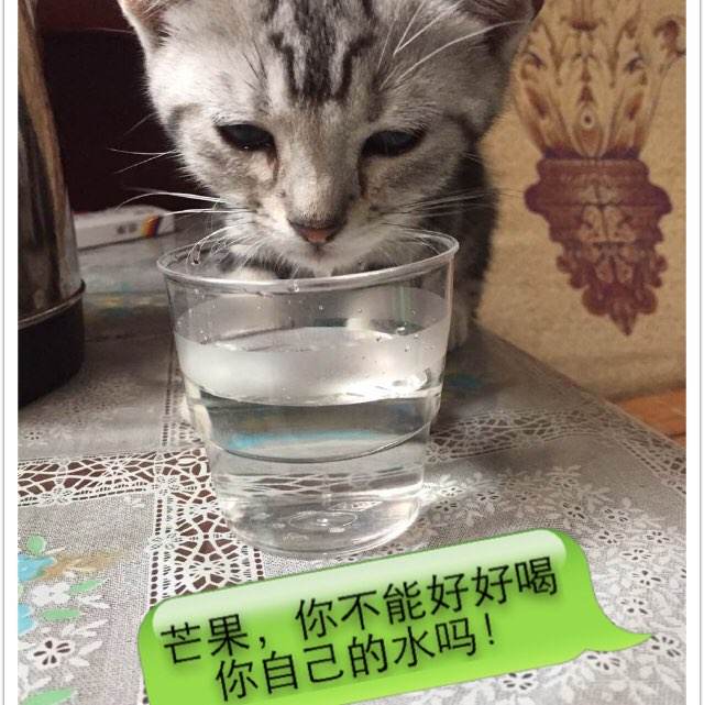 亚琛工业大学金融文凭证书